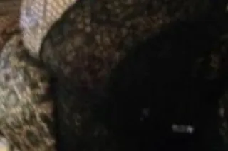 I LOVE GETTING FUCKED!!!!!!! - Image 6