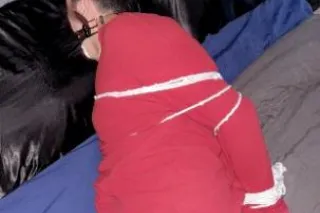 Burlington/Woburn prostate or and bbbj available massage now - Image 6