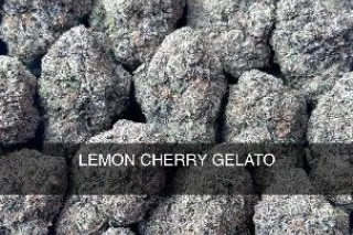 ⛽⛽🌜🌜🌜🌚🌚💨💨🌲🌲🌲🔥Real deal 420 Pressure HMU🌲🌲🌲🔥🌨🌨🌦💨 1Call away - Image 10