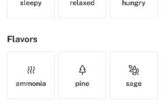 ⛽⛽🌜🌜🌜🌚🌚💨💨🌲🌲🌲🔥Real deal 420 Pressure HMU🌲🌲🌲🔥🌨🌨🌦💨 1Call away - Image 12