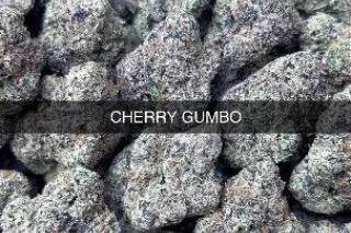 ⛽⛽🌜🌜🌜🌚🌚💨💨🌲🌲🌲🔥Real deal 420 Pre... - Image 3