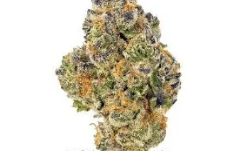 ⛽⛽🌜🌜🌜🌚🌚💨💨🌲🌲🌲🔥Real deal 420 Pressure HMU🌲🌲🌲🔥🌨🌨🌦💨 1Call away - Image 8