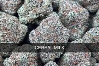 ⛽⛽🌜🌜🌜🌚🌚💨💨🌲🌲🌲🔥Real deal 420 Pressure HMU🌲🌲🌲🔥🌨🌨🌦💨 1Call away - Image 9