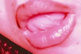 GOAT MOUTH👅👄 - 30 - Image 1