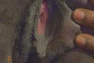 money ONLY ion even play - 30 - Image 2