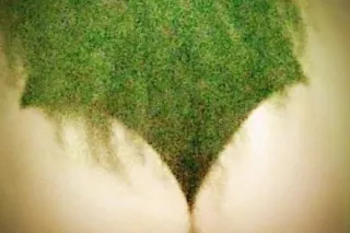 Italian $tallion - 40 - Image 3