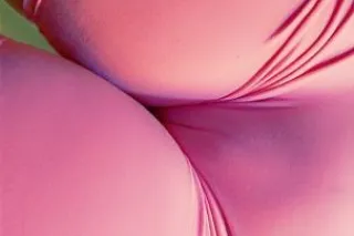 cum pound this p - 27 - Image 3