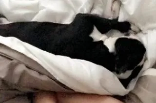 👠💦Horny girl ready to give you... - Image 2