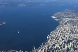 100%real pics 🥰😋Fresh waxed pu... - Image 1