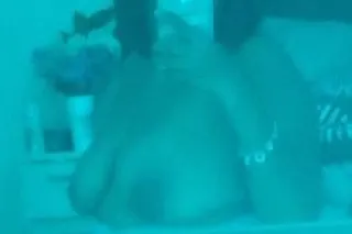 Super Pleaser Ready to meet - Image 5