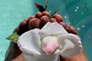 🏩Barbie DreamHouse Theme🍑 Available 24/7 💦Mobile🚙depends 📸FaceTime Shows Ready🤳 - Image 9