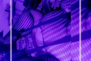 come play with a real porn sta... - Image 4