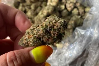 Palm Springs slut in town to g... - Image 2