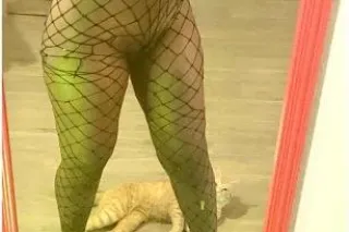 avail. - 23 - Image 4