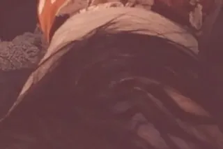 come enjoy a stress free drama free time - Image 7