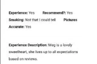 Highly REVIEWED...UNmatched Skills. The Mouth of the South from Denver! - Image 7