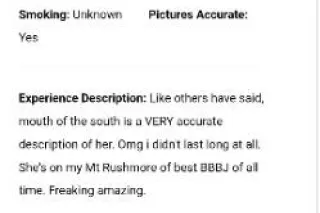 Highly REVIEWED...UNmatched Skills. The Mouth of the South from Denver! - Image 8