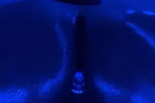 CONTENT CREATOR/ MASSAGE GURU ... - Image 1