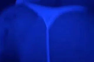 ✨☀ᴘʀᴇᴛᴛʏ ғᴀᴄᴇ & 𝔽𝔸𝕋 𝔸𝕊𝕊👅🍑💦 ✅𝐻𝑖... - Image 2