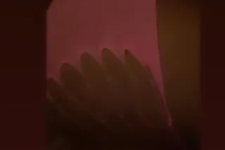 ✨ SEXY THICK 🍯N JUICY PANAMANI... - Image 2