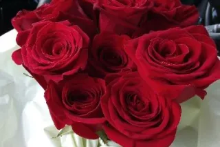 WHITE BBW SEDUCTION GODDESS CA... - Image 1