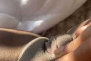 READ BEFORE CONTACT 👌🏽 - 21 - Image 3