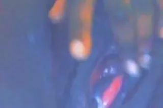 𝕬𝖗𝖊 𝖞𝖔𝖚 𝕷𝖔𝖔𝖐𝖎𝖓 𝖋𝖔𝖗 𝖆 𝕱𝖚𝖓,𝕱𝖗𝖊𝖆𝖐𝖞,𝕮𝖗𝖊𝖆𝖒𝖞 𝖄𝖔𝖚𝖓𝖍 𝕮𝖍𝖔𝖛𝖔𝖑𝖆𝖙𝖊 𝕱𝖗𝖊𝖆𝖐 𝕳𝕸𝖀!(◕ᴗ◕✿)𝚃𝚁𝚄𝙲 - Image 8