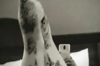 🤤I DONT KNOW ABOUT ANYONE ELSE... - Image 3