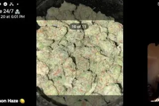 100 $ QV Special (Late night rendezvous) - Image 5