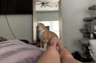 Get your satisfaction here🔥Inc... - Image 3