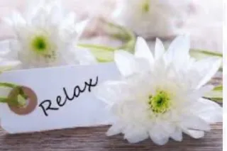 bodywork - 43 - Image 1